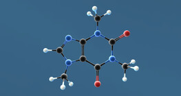 Caffeine (1,3,7-Trimethylxanthine)