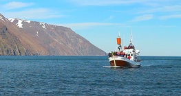 การจัดส่งสินค้า