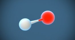 Hydroxide ion (OH⁻)