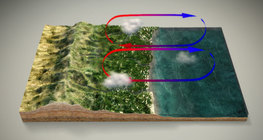 ระบบลมมรสุม