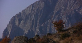 ทอด้าจอร์จ