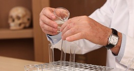 การสร้างแบบจำลองการย่อยโปรตีนในกระเพาะอาหาร