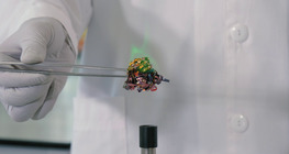 ออกซิเดชันของแอลกอฮอล์