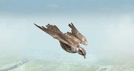 นกเหยี่ยวเซเกอร์