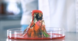 โมเดลภูเขาไฟ