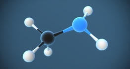Methylamine (NH₂CH₃)