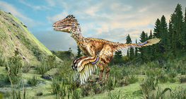 Deinonychus
