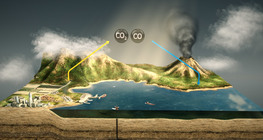 วัฏจักรคาร์บอน