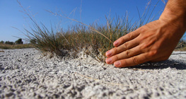 ความเค็มของดิน