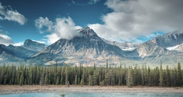 การอนุรักษ์ป่าของเรา