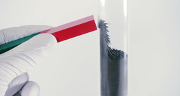 การเปลี่ยนแปลงทางกายภาพและเคมี ปฏิกิริยาระหว่างเหล็กกับกำมะถัน