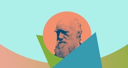 หลักฐานวิวัฒนาการบนร่างกายของเรา