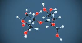 Molecule exercise VI (Carbohydrates)