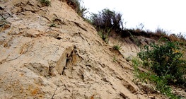 ดินลมหอบ