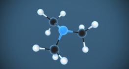 Trimethylamine N(CH₃)₃