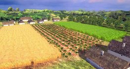 เทคนิคการทำการกสิกรรม