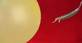 แป้งข้าวโพดไฟฟ้า