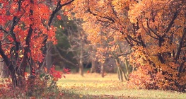 ฤดูที่แตกต่าง