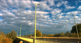 ในการเคลื่อนไหว