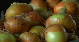 กระบวนการหัวหอม