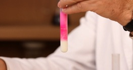 แพนคริเอไลเปสละลายไขมันได้อย่างไร