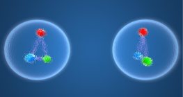 Elementary particles