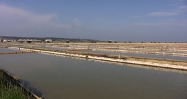 การผลิตเกลือ